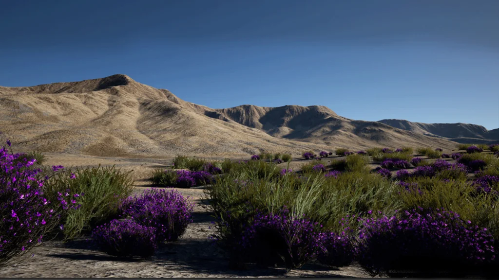 Desert Vegetation biome v1.0 unity free assets